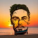 Icon Photo Illusion App