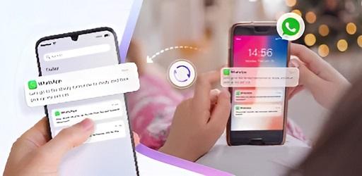 How to Check Other WhatsApp Chat History and Details