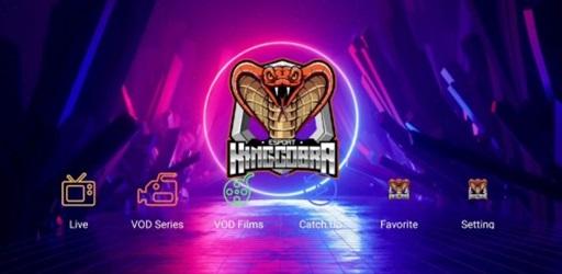 Thumbnail Cobra King Pro