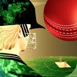 Icon Cricket Fly