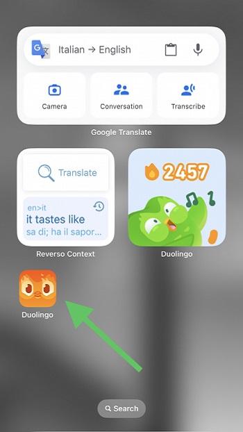 duolingo app apk android