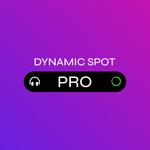 Icon Dynamic Spot Pro
