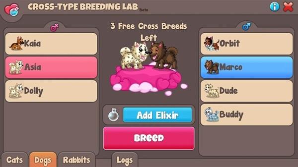 Lovely Pet Tricks and Tips