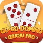 Icon QiuQiu Pro