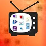 Icon Syrialive.online