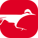 Roadrunner