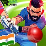 King Of Cricket Game
