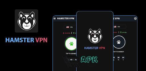Thumbnail Hamster VPN