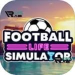 Icon Football Life Simulator