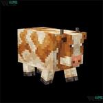 Realism Craft