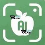 Scale AI Earning App