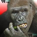 Flying Gorilla
