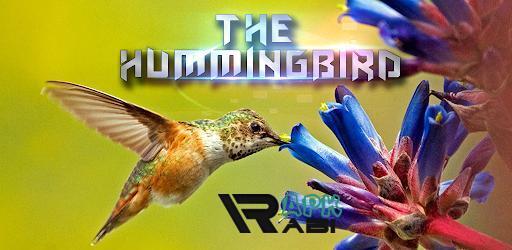 Thumbnail Hummingbird Game