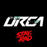 Modul Orca Racing