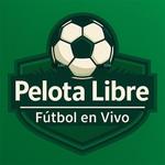Icon Pelota Libre