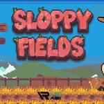 Sloppy Fields