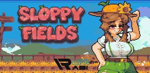 Thumbnail Sloppy Fields
