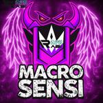 Icon Macro Sensi Max