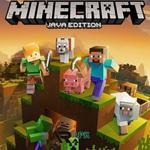 Icon Minecraft v1.17.200