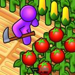 Farm Land
