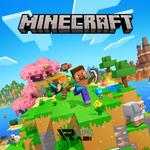 Minecraft 1.21.110.24