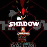 Shadow Bot