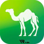 Camel Live