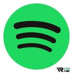 Icon Spotify Duo